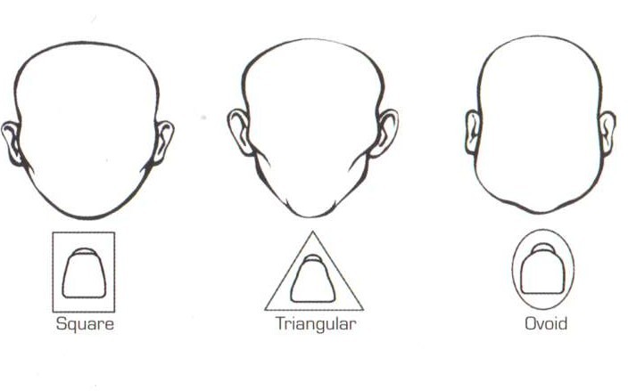 Facial Form
